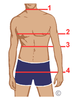 Guide maillots